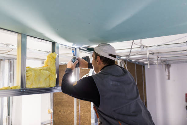 Best Blown-in Insulation in Dolton, IL