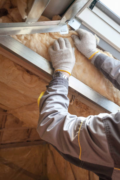 Professional Insulation Contractor in Dolton, IL
